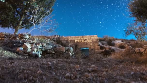 Astro time-lapse with olive trees in Bethlehem, Israel — Stock Video