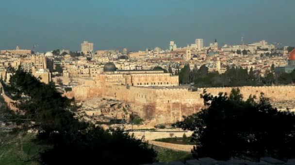 Oude Jeruzalem en de muren in Israël. — Stockvideo