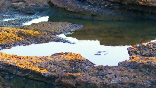 Sunset reflection at Dor Beach — Stock Video