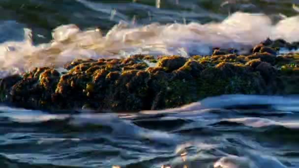 Ondas revelando uma rocha em Dor Beach — Vídeo de Stock