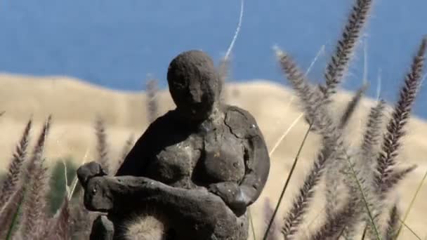 Klein standbeeld in de buurt van de dode zee in Israël — Stockvideo