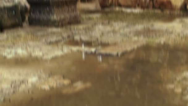 Роялти Free Stock Видеокадры лужи в руинах Бар 'ам, снятые в Израиле — стоковое видео