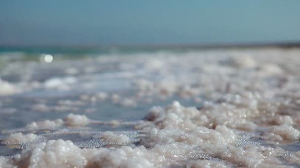 Mar Morto costa de sal em Israel . — Vídeo de Stock