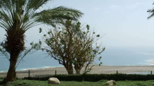 Νεκρά θάλασσα στο Ισραήλ — Αρχείο Βίντεο