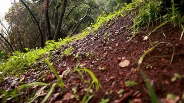 Ladera del valle del río Iyon Tanur — Vídeo de stock