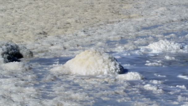 Tuzlu Dead Sea shore İsrail Panoraması görüntüleri — Stok video