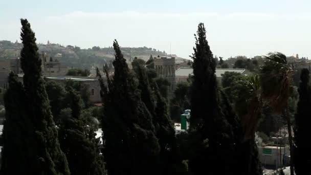 Soprando árvores e edifícios de Jerusalém em Israel . — Vídeo de Stock