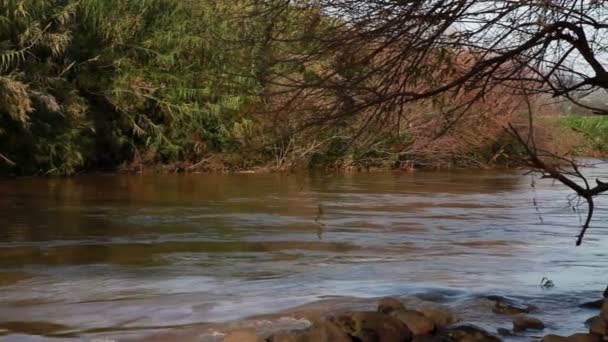 Запись текущей воды реки Иордан в Израиле . — стоковое видео