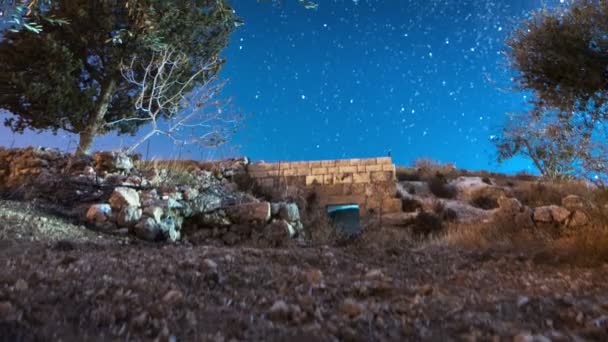 Astro time-lapse met olijfbomen in Bethlehem, — Stockvideo