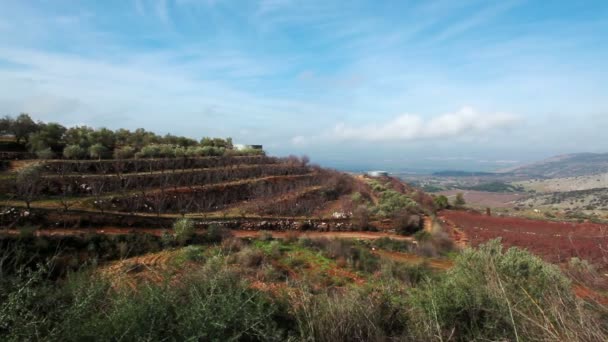 Imágenes de un huerto de laderas en las alturas del Golán en Israel . — Vídeos de Stock