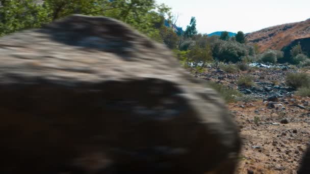 Jordan River in Israël. — Stockvideo