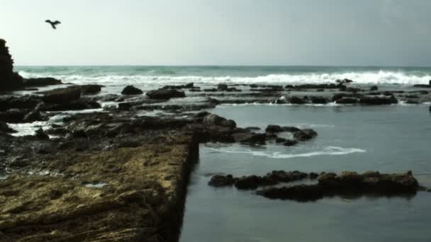 Stock Video Footage of the ruins of an ancient pool on the seashore shot in Israel — Stock Video