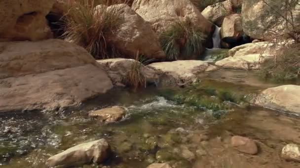 小さな滝のストリーム — ストック動画