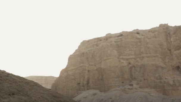 Panorama du soleil à travers les branches tourné en Israël — Video