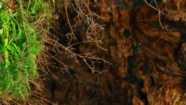 Adamit Park jeskyně oblouk — Stock video