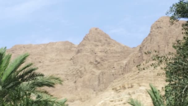 oasis refuge dans le désert en Israël 