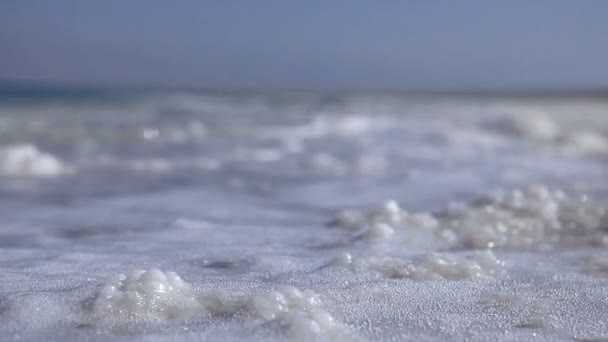 Νεκρά Θάλασσα αλάτι ακτή στο Ισραήλ. — Αρχείο Βίντεο
