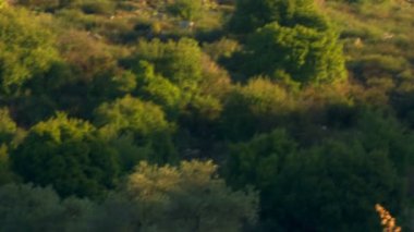 Golan Tepeleri vadide