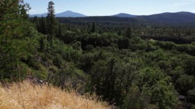 Orman Vadisi, Kaliforniya.