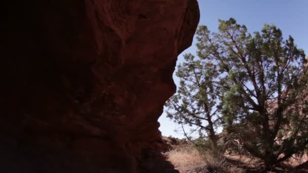 砂漠の太陽の光 — ストック動画