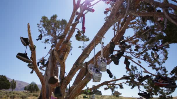 Дівчинка у дереві заповнені з висячими взуття — стокове відео