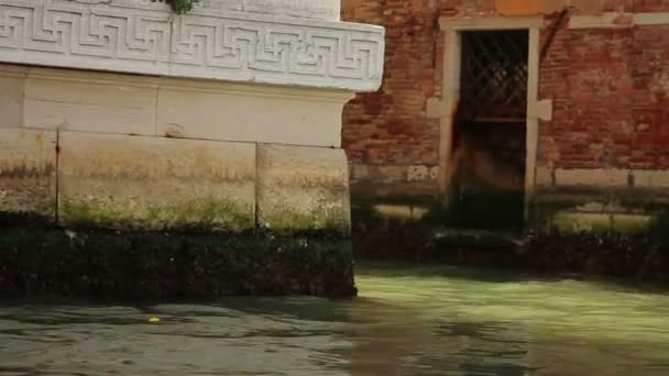 Fountain at St. Peter's Square — Stock Video