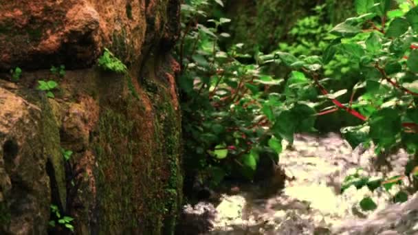 Agua corriendo entre la roca — Vídeos de Stock