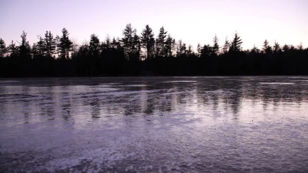 Λίμνη το σούρουπο με silhouetted δέντρα — Αρχείο Βίντεο