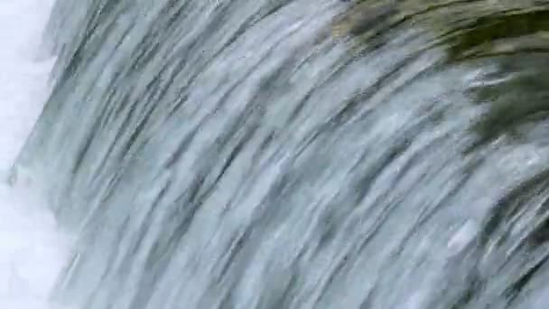 Jeden z vodopádů na Banias, Golanských výšin — Stock video