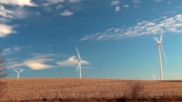 Ветряные мельницы в открытом поле — стоковое видео