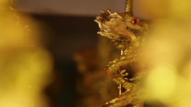 Drachenstatuen aus Gold — Stockvideo