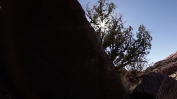 Моаб пустыня в течение дня — стоковое видео