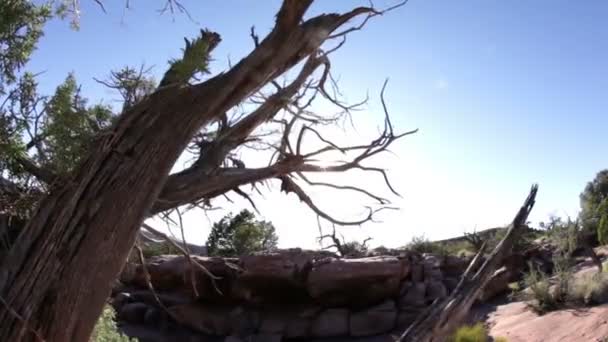 在犹他州摩押的红色岩石 — 图库视频影像