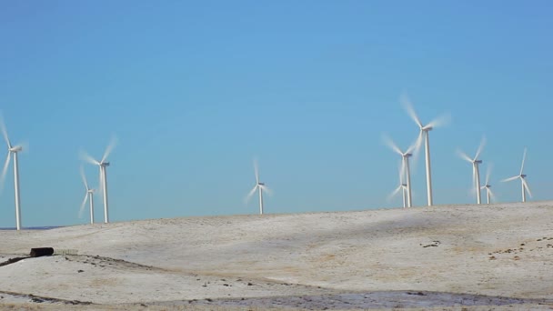 Molinos de viento en Wyoming — Vídeo de stock