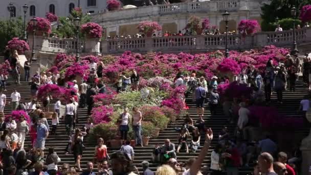 Touristen auf den spanischen Stufen — Stockvideo