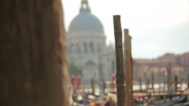 Etrafta dolaşan ve Vatikan Şehri altındaki fotoğraflar için poz turist