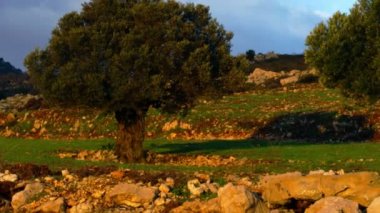 Hillside Nimrod Kale arkasında