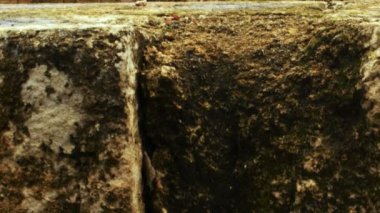 Banias Agrippa Sarayı