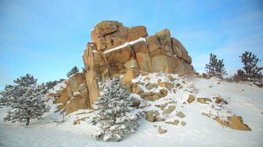 bir kaç çam ağaçları ile kaya oluşumu