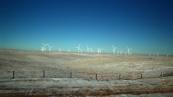 Windmühlen und Zaun — Stockvideo