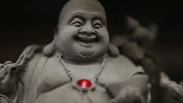 Buddha figurer på en display hylla — Stockvideo