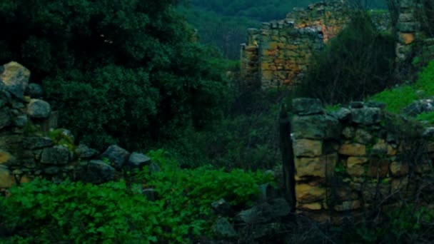 Stock Vidéo Libre de Droit Footage of overgrown ruins at Bar'am tourné en Israël — Video