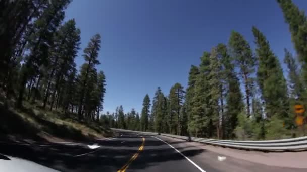 Kurvenreiche Autobahn hinuntergefahren — Stockvideo
