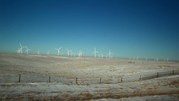 Molinos de viento en Wyoming durante el día — Vídeo de stock