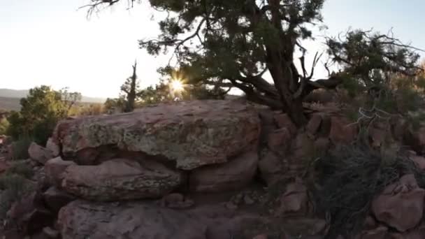 Moab Scenery z okna pojazdu — Wideo stockowe