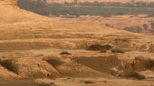 Fotografía de un paisaje desértico al atardecer en Israel — Vídeos de Stock