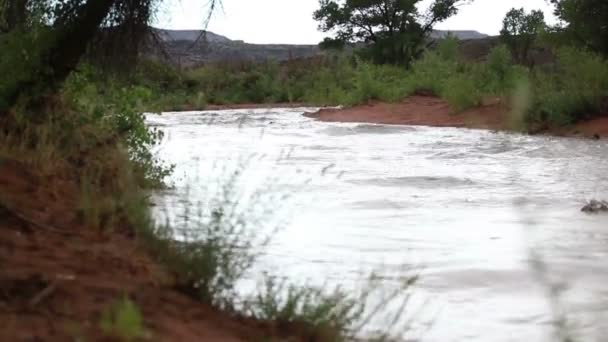 Río Colorado en Moab Utah — Vídeo de stock