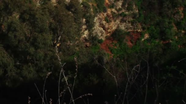 Cascada de Tahana cerca de Metula — Vídeo de stock
