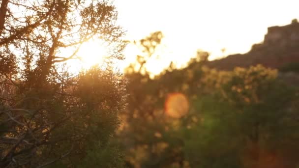 Bomen en een heuvel in Moab bij zonsondergang. — Stockvideo