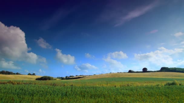 Strzał w timelapse na zboczu wzgórza w Kopenhadze, Dania — Wideo stockowe